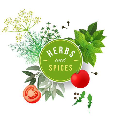 spices refreshing herbs background 