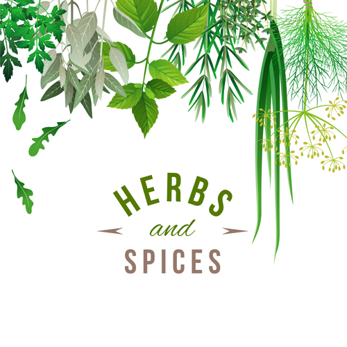 spices refresh herbs background 