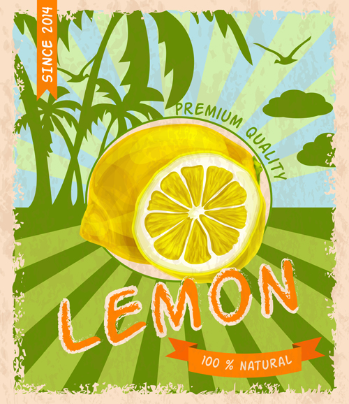 o fruit poster grunge style vector 03 Retro fruit poster grunge style vector 03