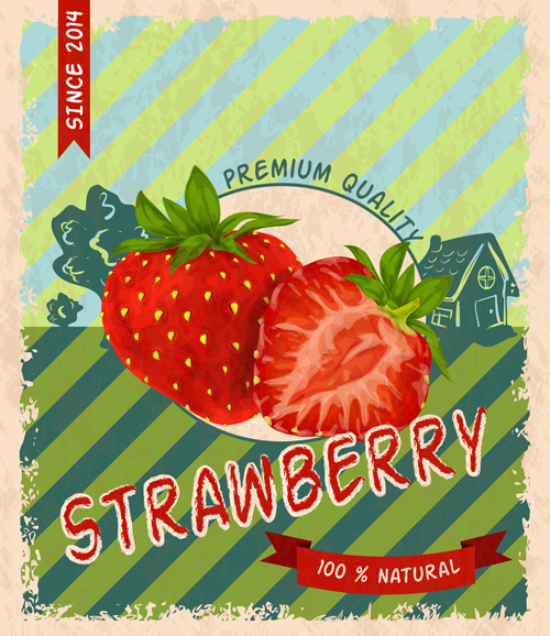 Retro fruit poster grunge style vector 05