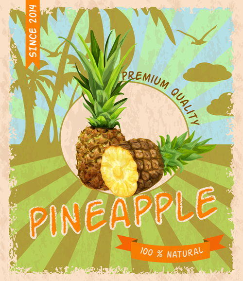 o fruit poster grunge style vector 11 Retro fruit poster grunge style vector 11