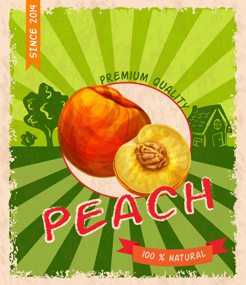Retro fruit poster grunge style vector 12