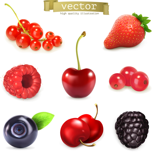 Various juicy fruits 