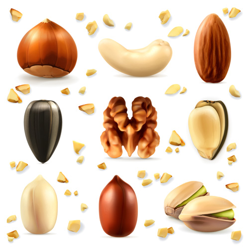 Various realistic nuts 