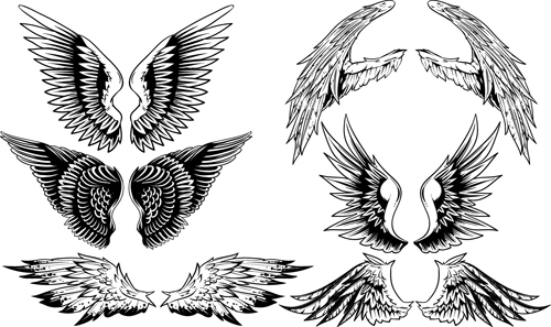 Vintage wings design vector set 03
