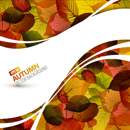Pretty Autumn backgrounds art vector 04