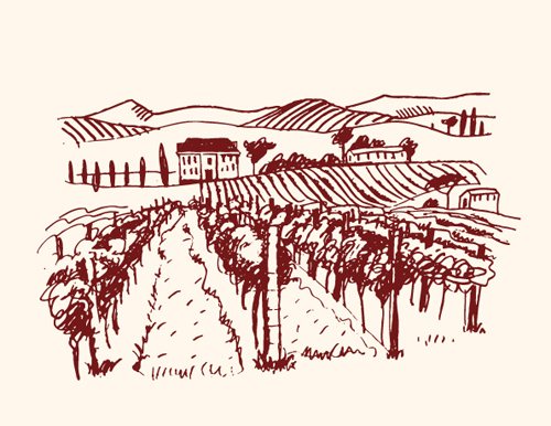 Hand drawn Retro Vineyard elements vector 03