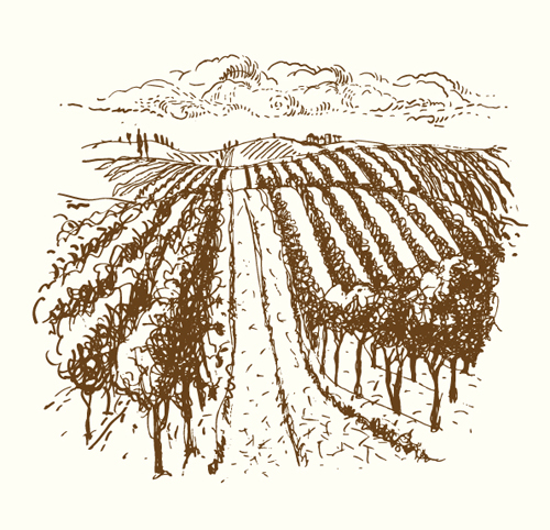 Hand drawn Retro Vineyard elements vector 05