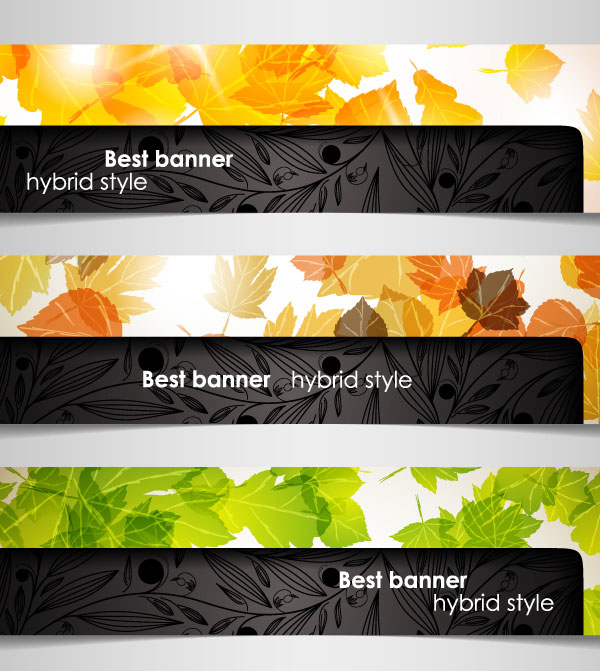 style hybrid banner 