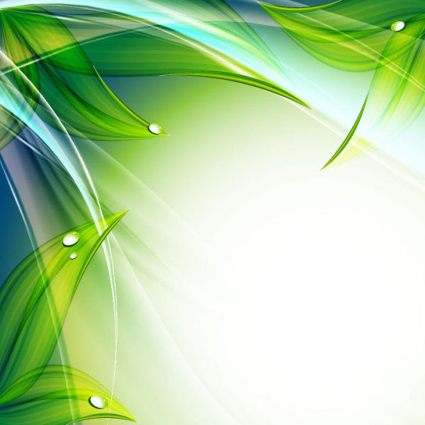 Green leaf with water droplets Background vector 01