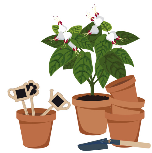 Flowerpot and flower vector set 02