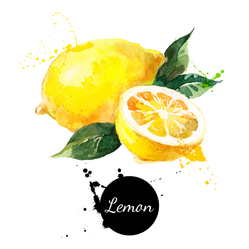 Lemon watercolor vector material
