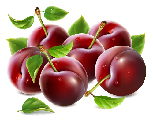 Ripe fresh cherry creative vector