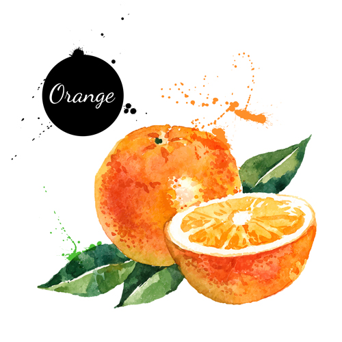 Watercolor ornage drawn vector