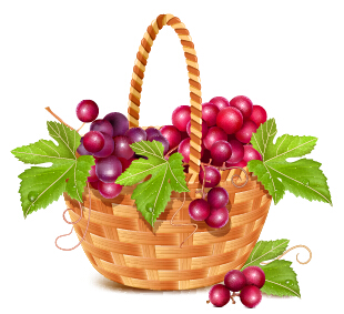 grapes basket 