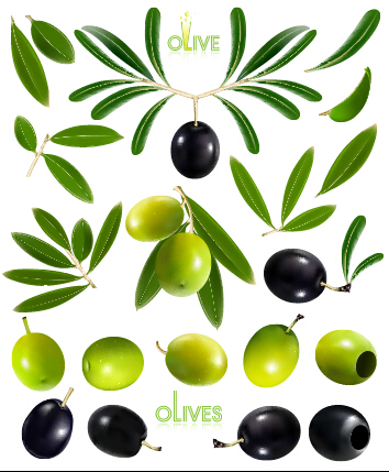 olive green black 