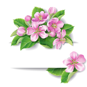 pink paper flowers flower background 