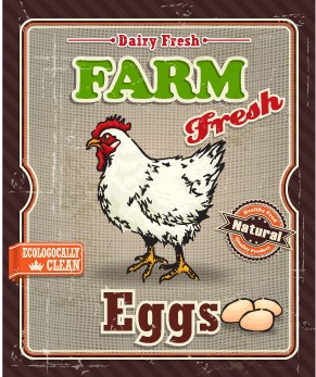 Retro Food Poster vector set 04