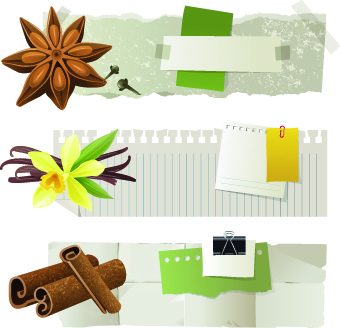 Special banners design elements vector 01
