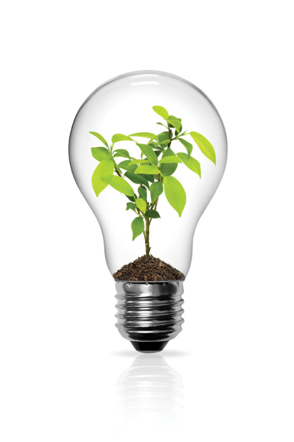 Set of light bulb design elements vector 03