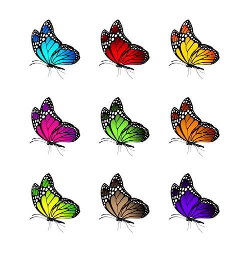Beautiful butterflies vector icons set 01