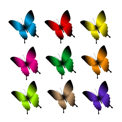 Beautiful butterflies vector icons set 02