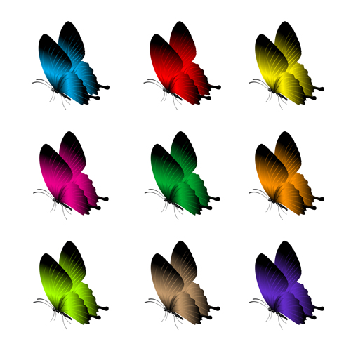 Beautiful butterflies vector icons set 03