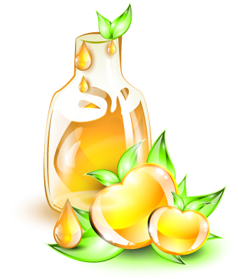 Colored glass fruit vector 05