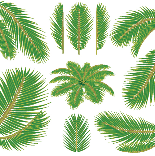 Palm leaves green 
