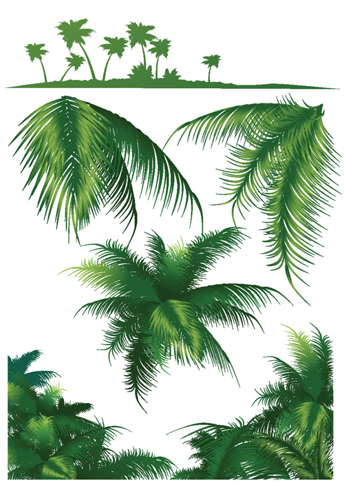 Set of green Palm leaves vector 03