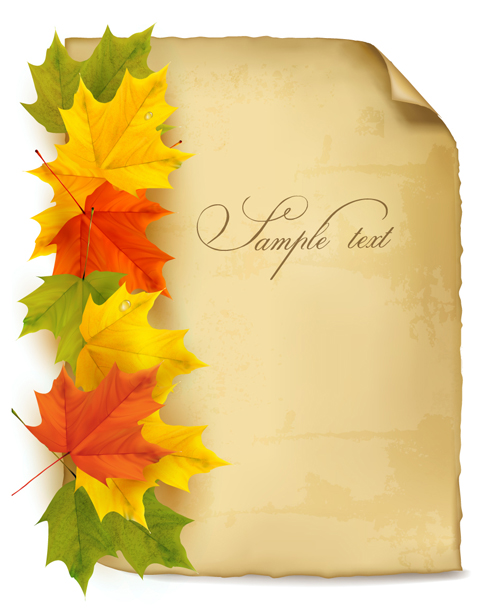 Parchment with autumn leaves background vector