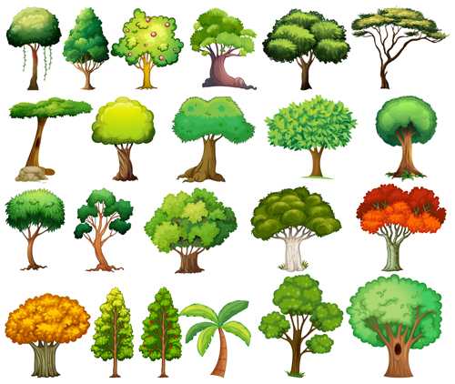 Various tree 