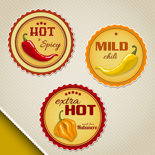 Vintage labels chili sauces vector