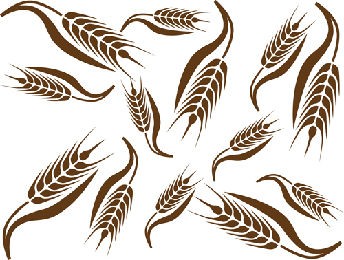 Set of Wheat patterns mix vector 02