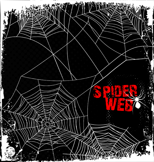 spider web spider 