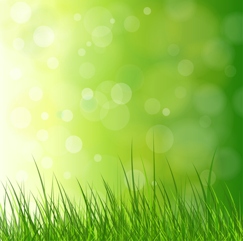 Vivid Spring elements vector background 02