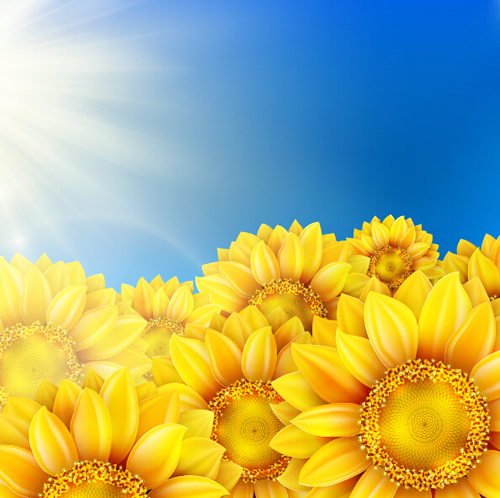 Blue sky with sunflower flower vector background Blue sky with sunflower flower vector background