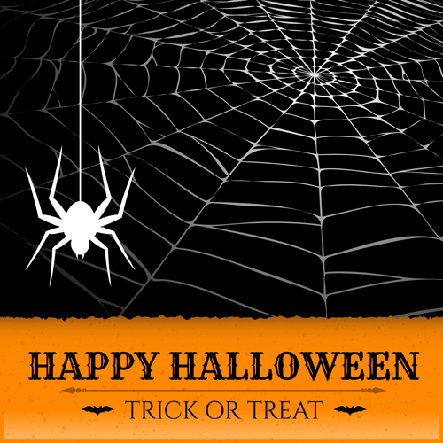 Web Design spider web spider background 