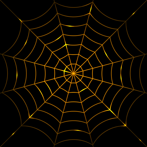Web Design spider web spider 