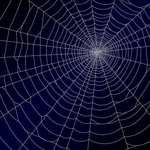 spider web spider background 