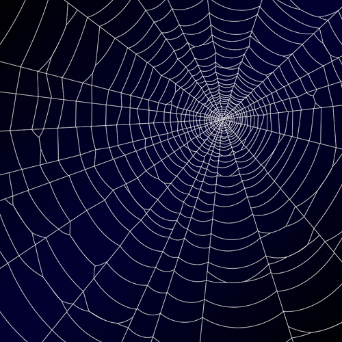 Vector spider web design background graphics 04 Vector spider web design background graphics 04
