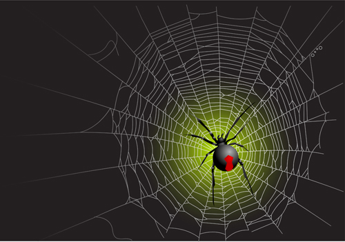 Web Design spider web spider 