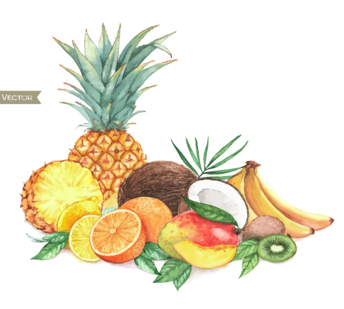 Different fruits watercolor vectors design 01 Different fruits watercolor vectors design 01
