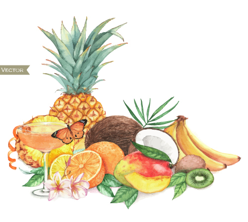 Different fruits watercolor vectors design 02 Different fruits watercolor vectors design 02