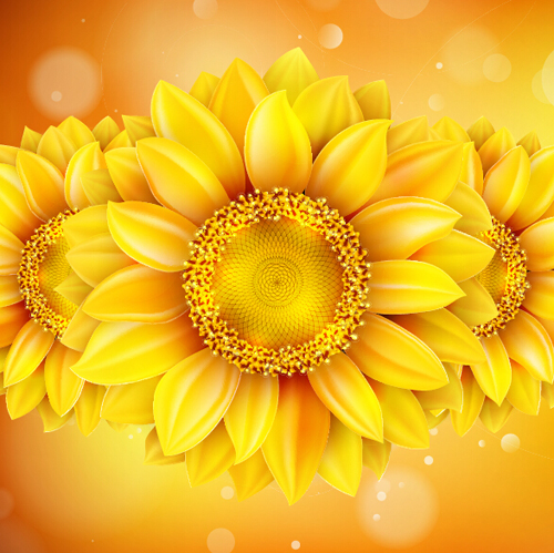 Sunflower flower with bokeh vector background 07 Sunflower flower with bokeh vector background 07