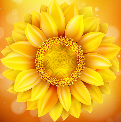 Sunflower flower with bokeh vector background 08 Sunflower flower with bokeh vector background 08