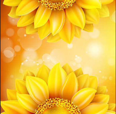 Sunflower flower with bokeh vector background 09 Sunflower flower with bokeh vector background 09