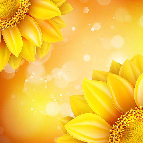 sunflower flower bokeh background 
