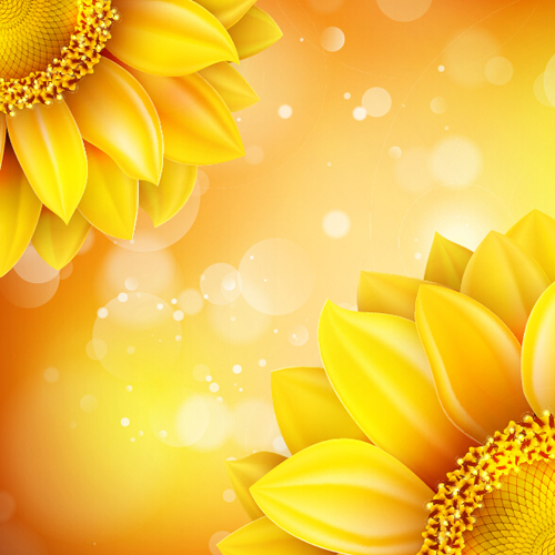 Sunflower flower with bokeh vector background 10 Sunflower flower with bokeh vector background 10
