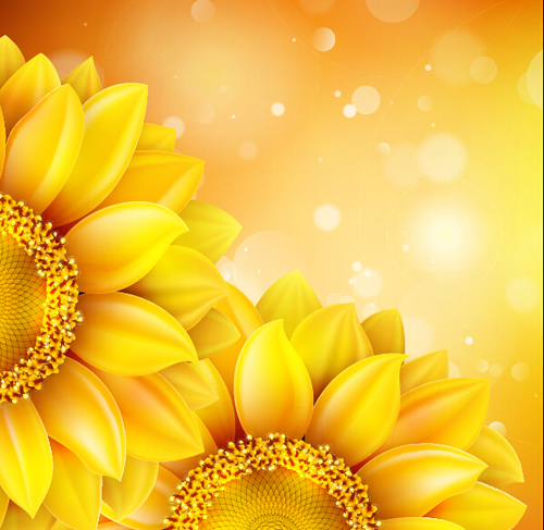 Sunflower flower with bokeh vector background 11 Sunflower flower with bokeh vector background 11